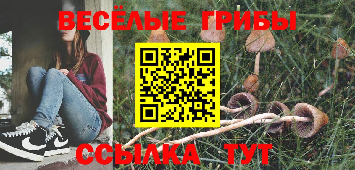 Карачаевск  Кокаин  Alpha PVP СК   МАРИХУАНА  ГАШ  ТГК  Вход с VPN  Мефедрон   Гашиш  Экстази 